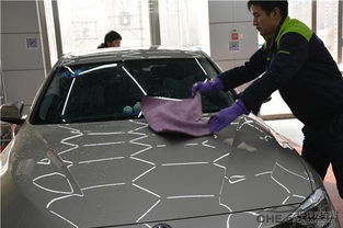 汽车带油漆罚款多少