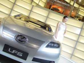 04年郑州多少汽车