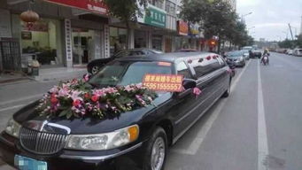 金城汽车多少钱