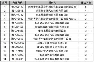 汽车违法次数是多少