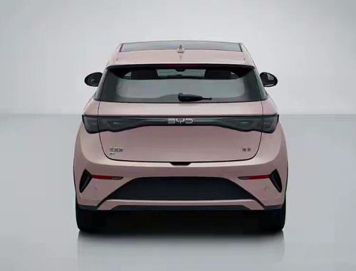 海豚汽车多少重量啊