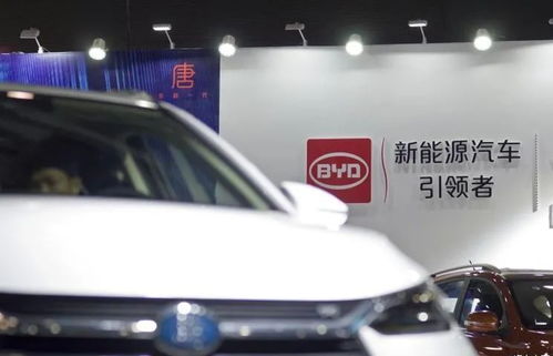 萧山比亚迪汽车补贴多少