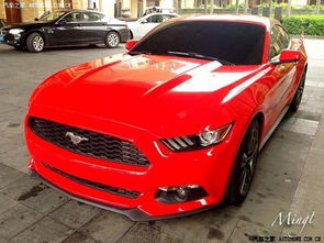 野马汽车福建牌照多少