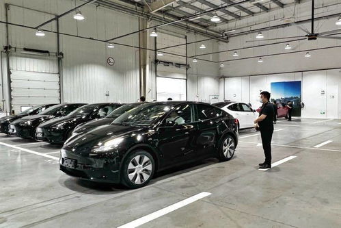 西安汽车政府补贴多少