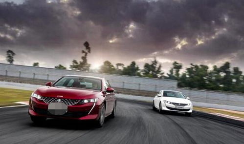 汽车跑多少速合适