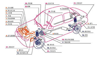 汽车质保范围多少合适
