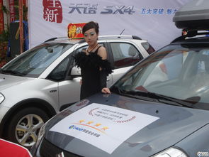 茂名市多少汽车