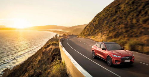 鱼叉汽车多少钱