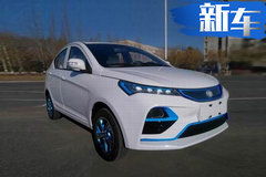 宾果汽车带多少款