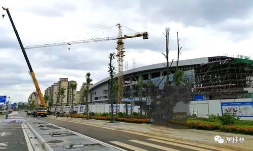 汽车南站搬迁补偿多少