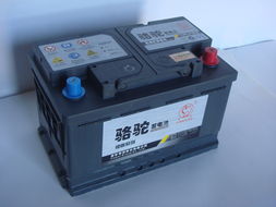 汽车骆驼电池多少伏