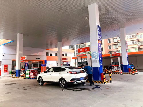 95汽车油价今日多少