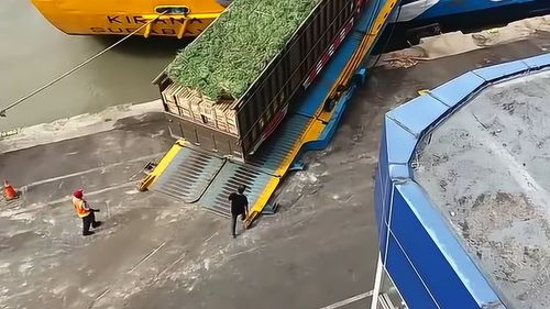 大轮船放多少汽车