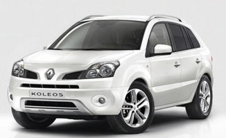 雷诺汽车电流多少安培