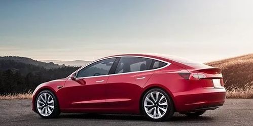 特拉斯汽车多少