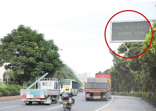 肇庆端州区有多少汽车