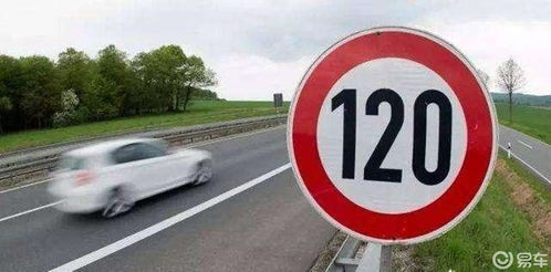 园区汽车限速多少合适