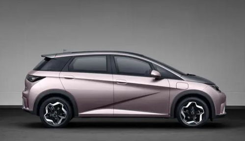 比亚迪海豚汽车续航多少