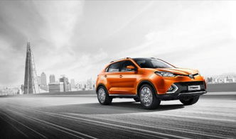 中田汽车多少钱