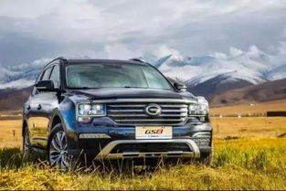 宁海车界汽车多少