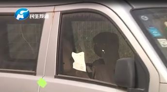 汽车贴条扣多少