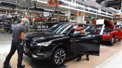 汽车出险明年贵多少