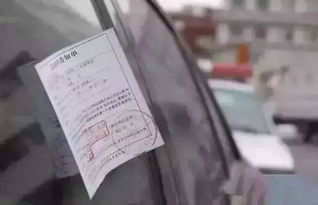 汕头汽车数量有多少