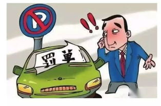 全国汽车每天罚款多少