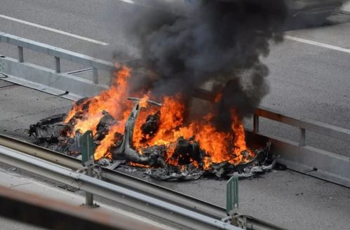 中国每年汽车自燃多少