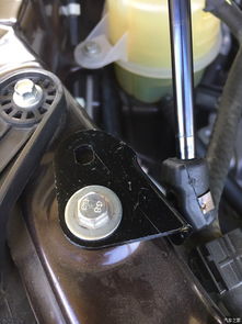 汽车液压杆多少n