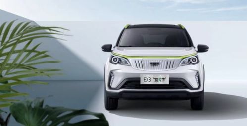 功夫汽车多少钱