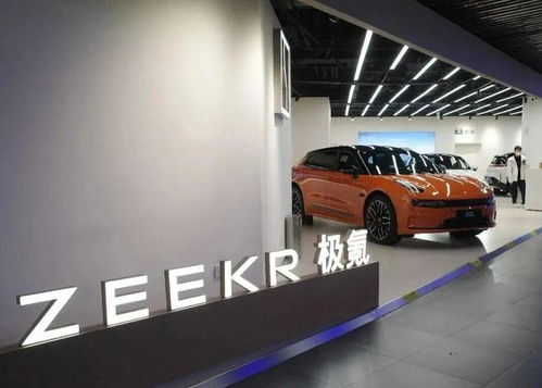 极氪汽车多少辆