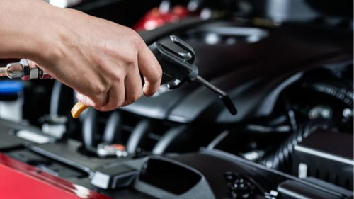 汽车中级技工费用多少