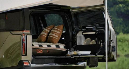 极石汽车排量多少