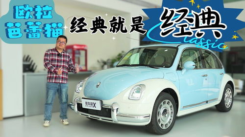 猫爪汽车多少钱