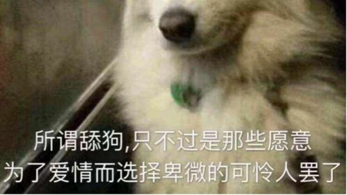 汽车舔狗有多少