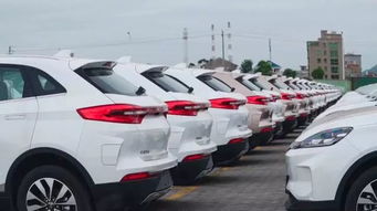 苍南汽车往年补贴多少