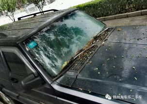 汽车暴晒多少天会坏