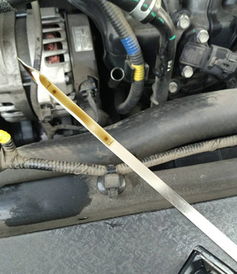 现代汽车机油多少正常