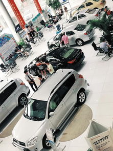 汽车拍照价格多少