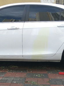 思明汽车抛光价格多少