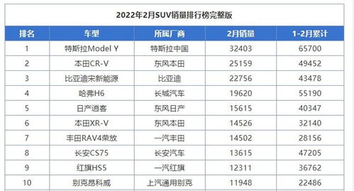 汽车插牌费用多少