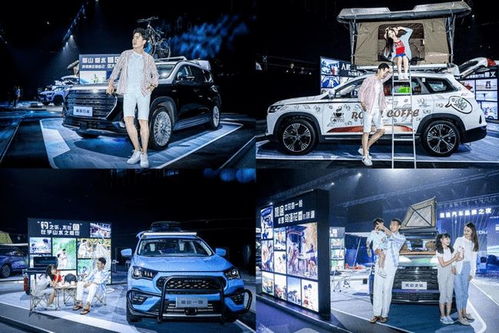 星辰汽车今日价多少