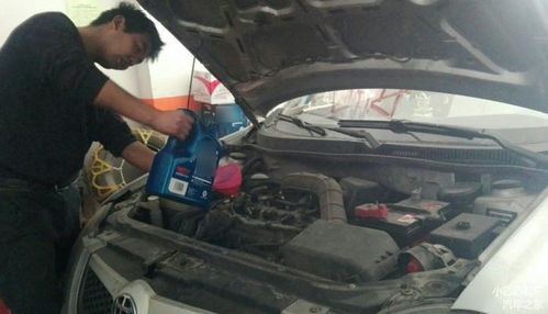 汽车换油浮子多少工钱