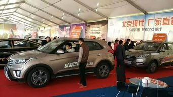 广东揭阳有多少汽车