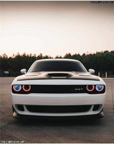 地狱猫汽车多少匹