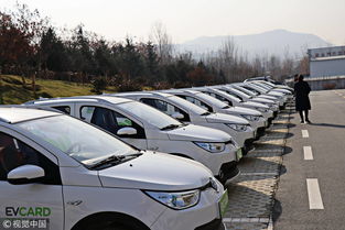 节能汽车分为多少种