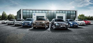 汽车用多少号柴油