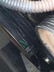 汽车有多少根皮带