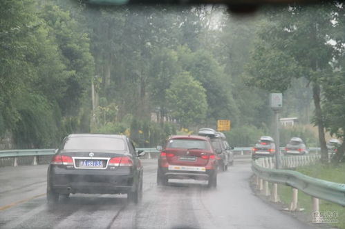 安顺到泸州汽车多少